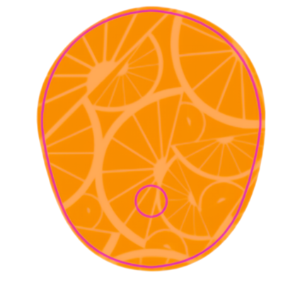 Dexcom G7: Orange Patch Set